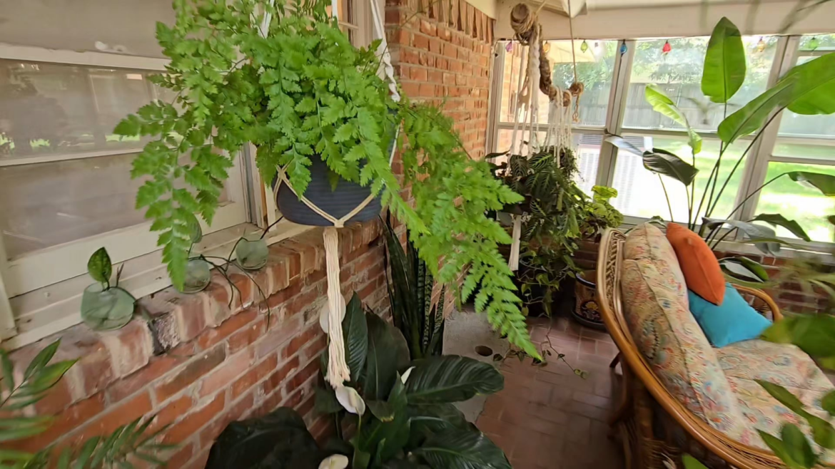 I think I made my sunroom a little too welcoming.