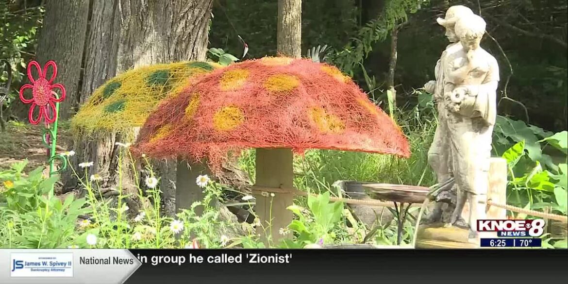 Zoo Buddy: Butterfly Garden!