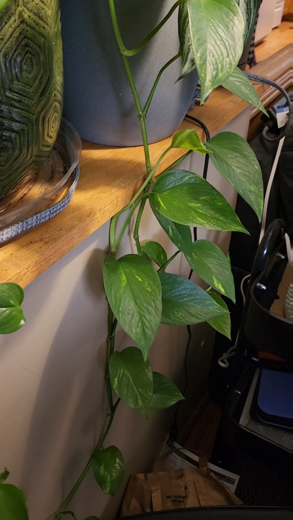 I messed up, even after seeing all the warning posts about it lol