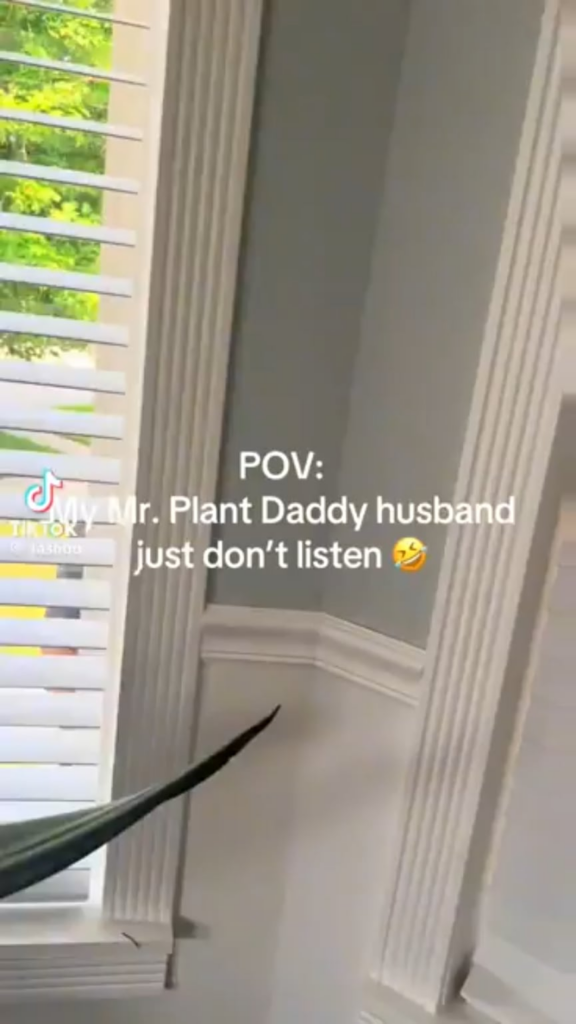 the "... it's Sunday" is too relatable