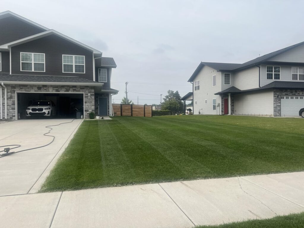 Double/Single Stripes