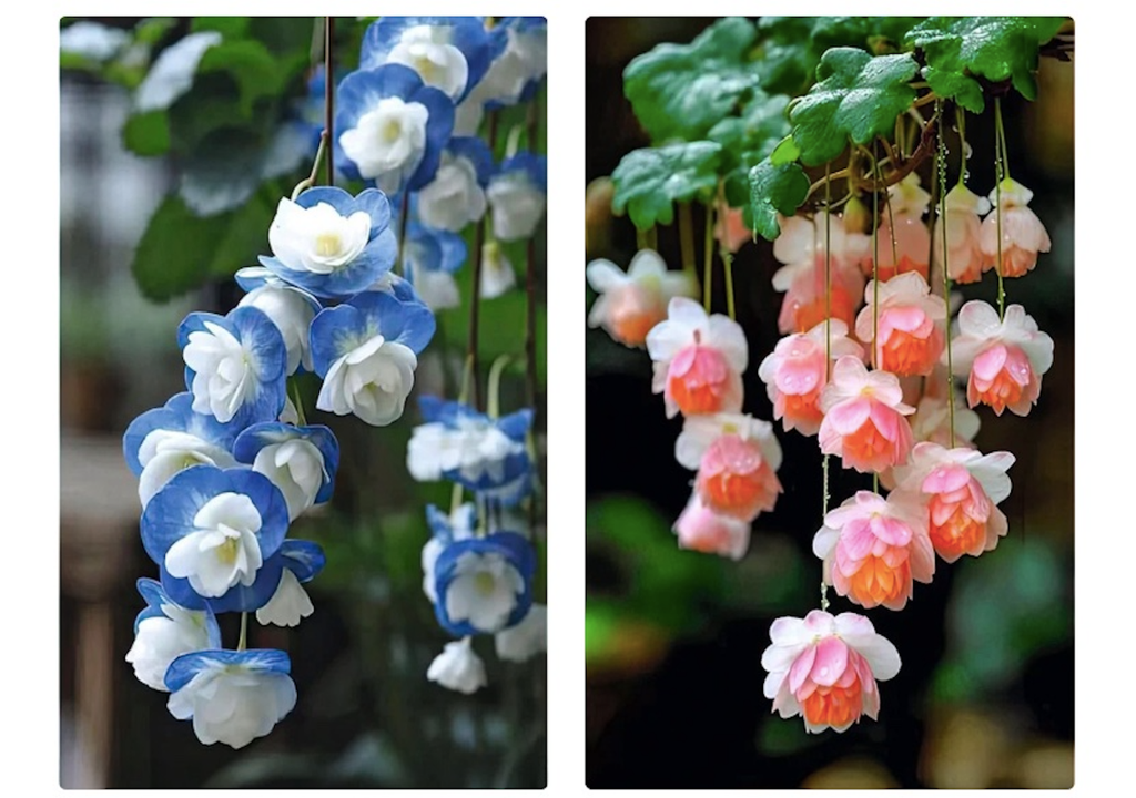 Fake flowers, AI.