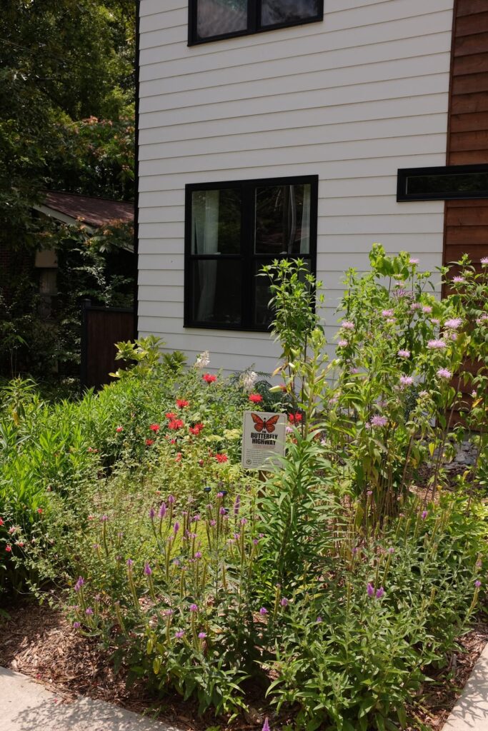 Native Pollinator Garden 3 years later - part 2
