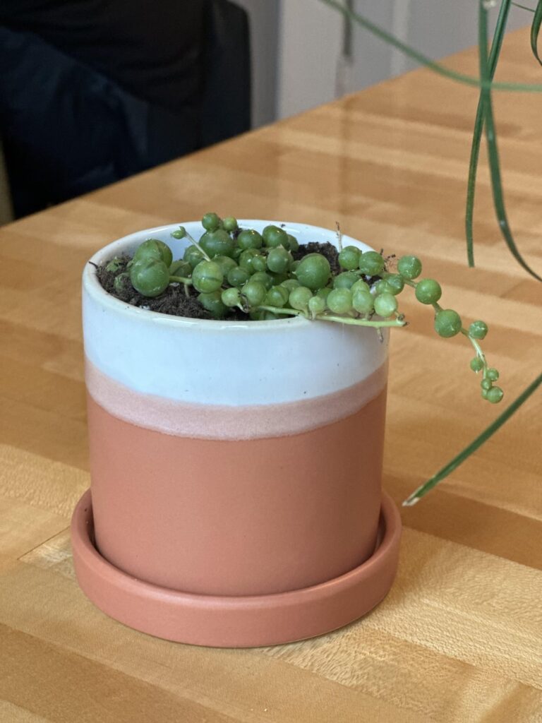 2 months of growth🥹
