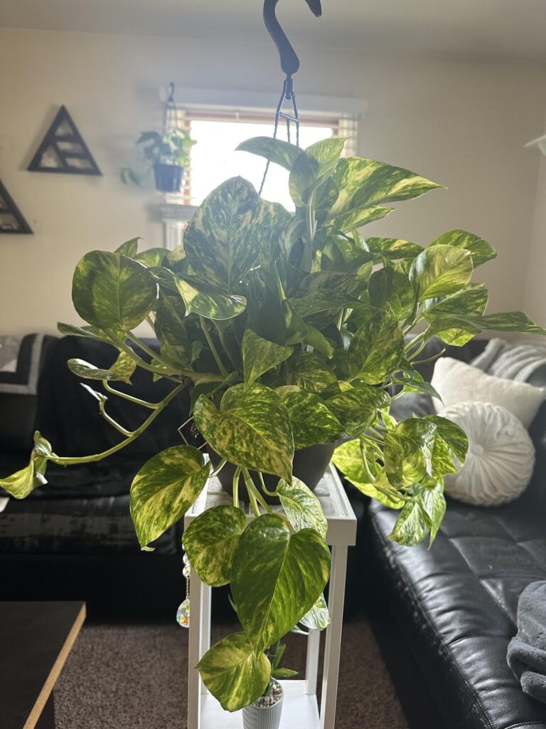 just admiring this beauty today