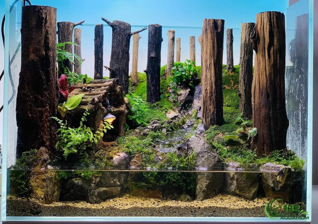 New layout for vivarium . Thanks