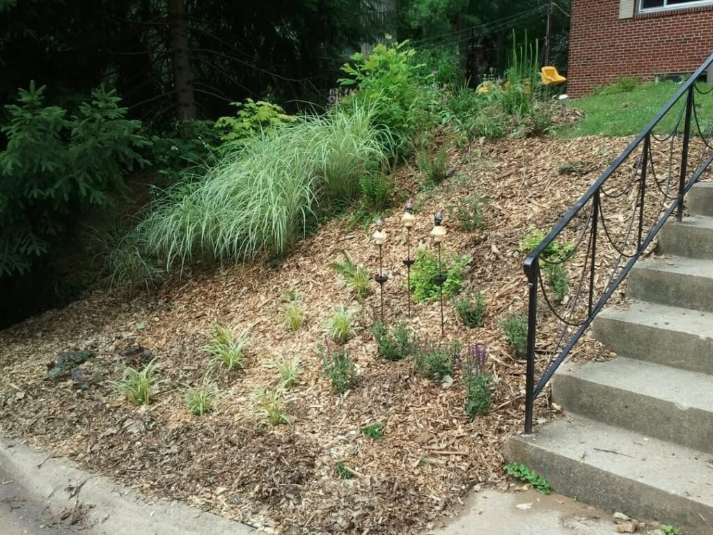 From lawn, to initial planting, to mature planting (13 years). From lawn, to initial planting, to mature planting (13 years).