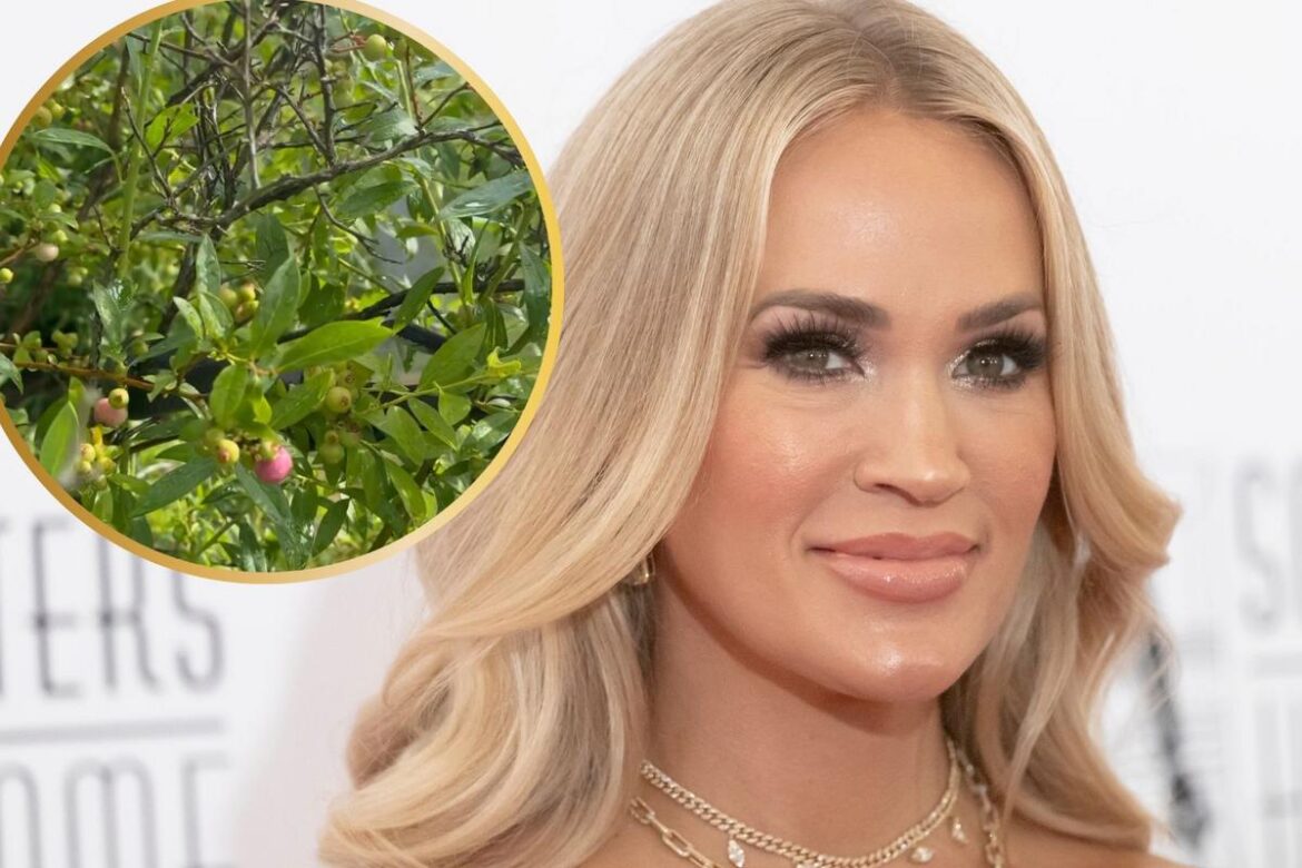 Carrie Underwood Met the Devil in Her Garden -- Sort Of