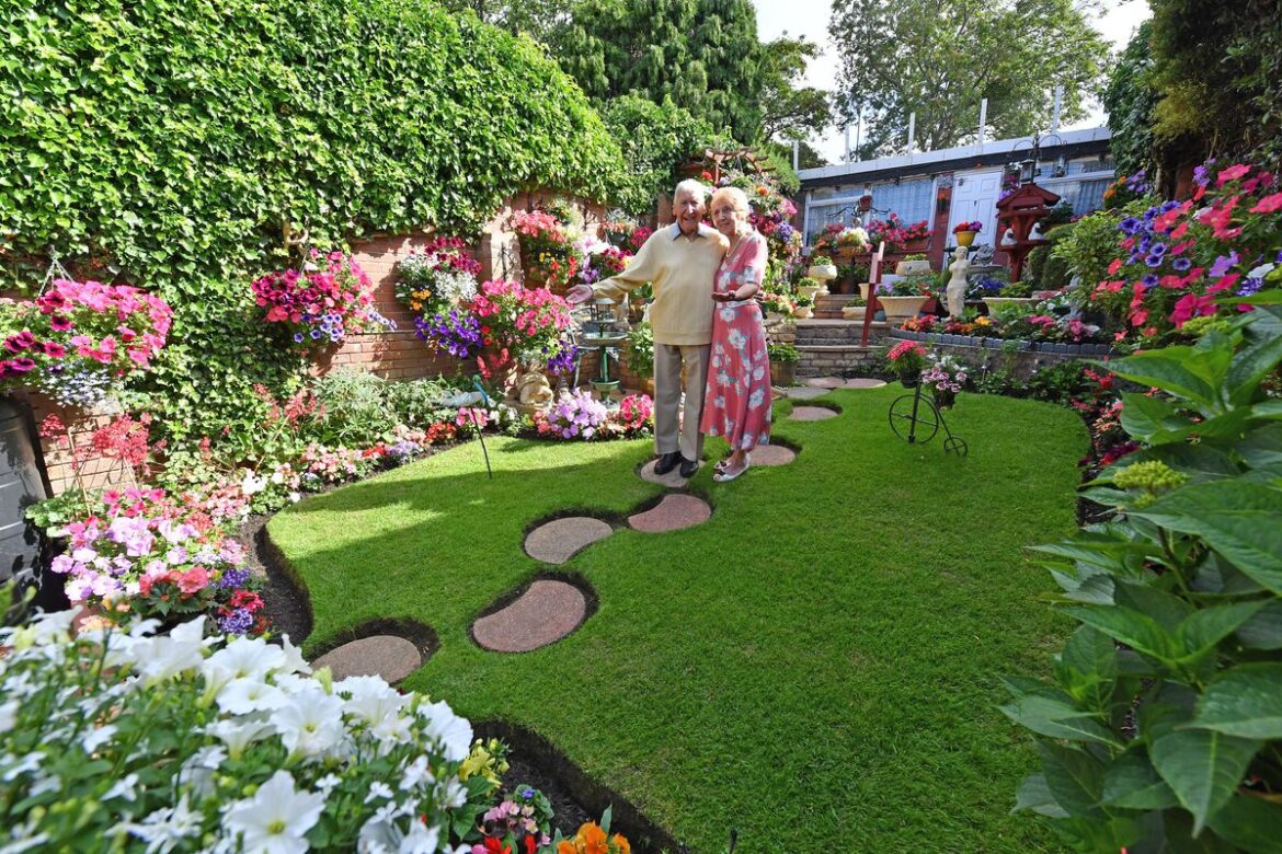 ‘Begonias are my favourites’ says owner of jam-packed prize-winning garden Supporting image for story: 'Begonias are my favourites' says owner of jam-packed prize-winning garden