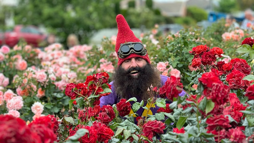 Costa’s Corner | 15th November 2024 Costa's Corner | 15th November 2024