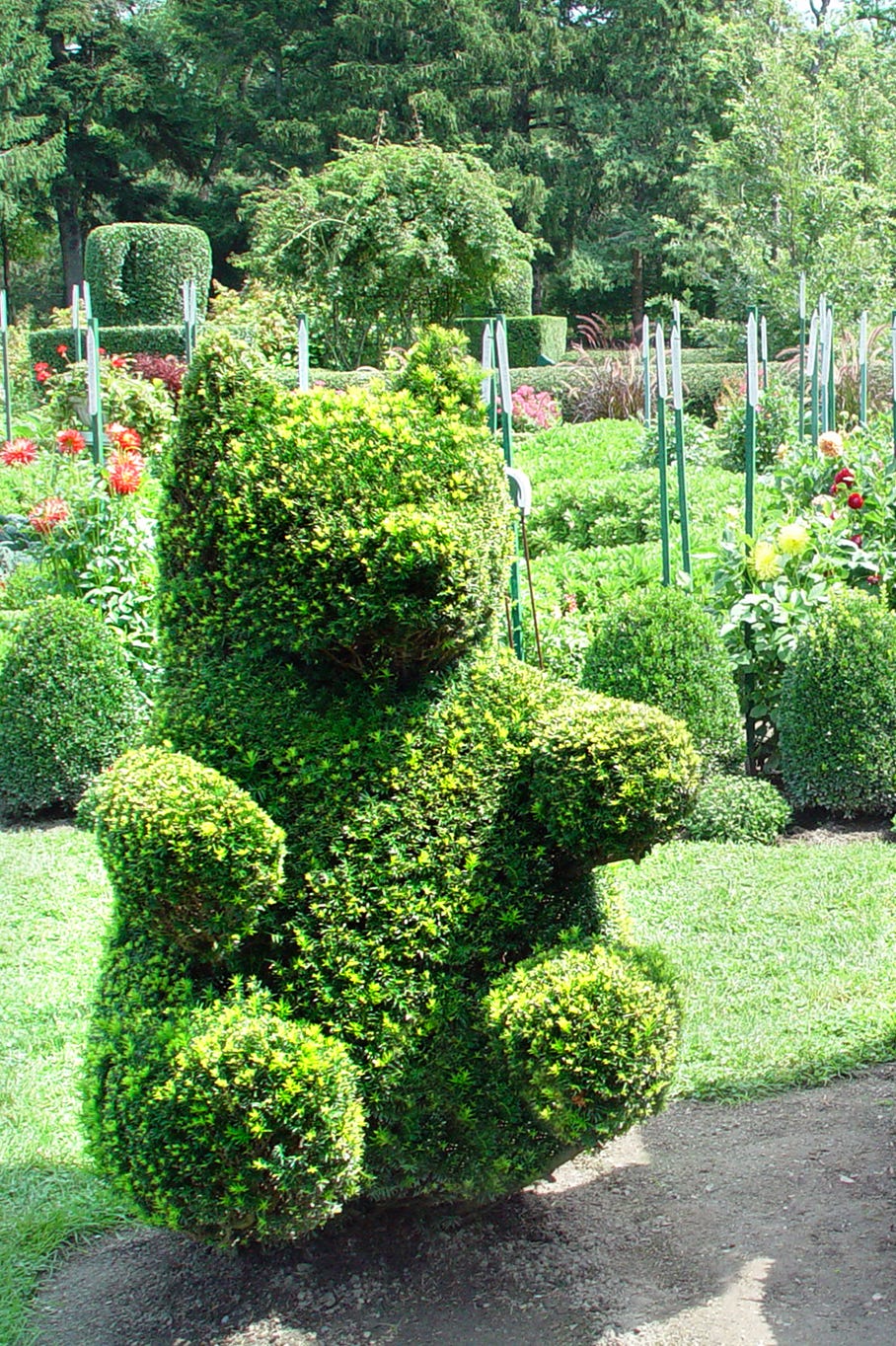 topiary