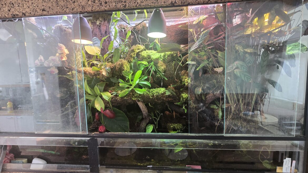 She is looking good today