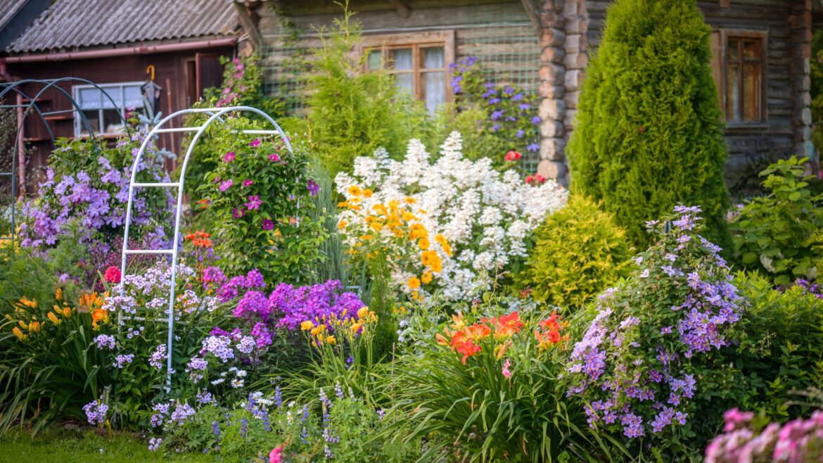 Garden pro’s £3.99 fast-growing flower from Lidl blooms all summer & brings ‘romance’ to your outside space Garden pro's £3.99 fast-growing flower from Lidl blooms all summer & brings 'romance' to your outside space