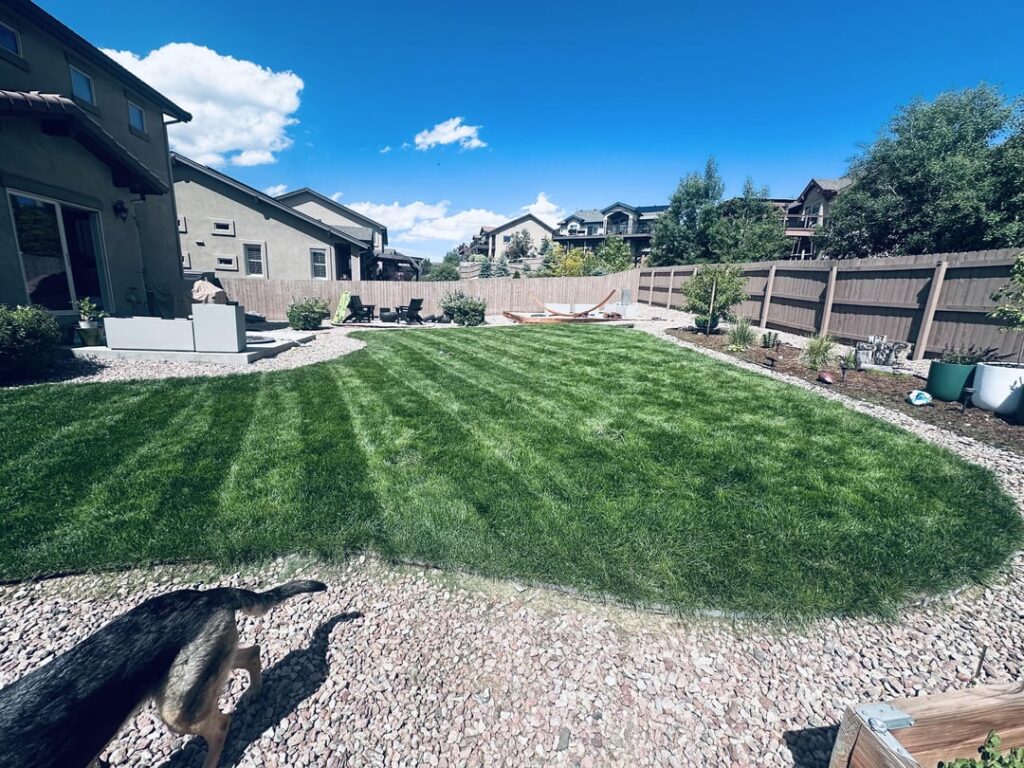 First proper mow for the season.