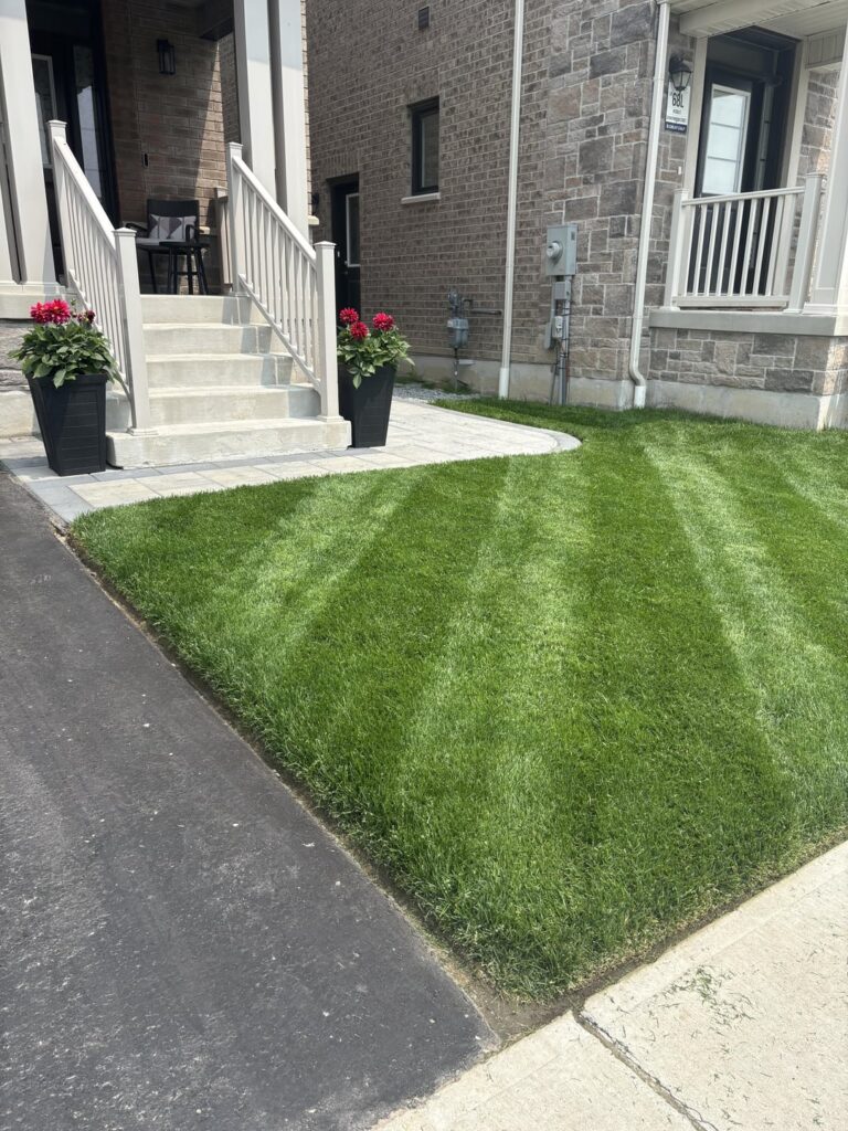 Small yard flex 💪🏾