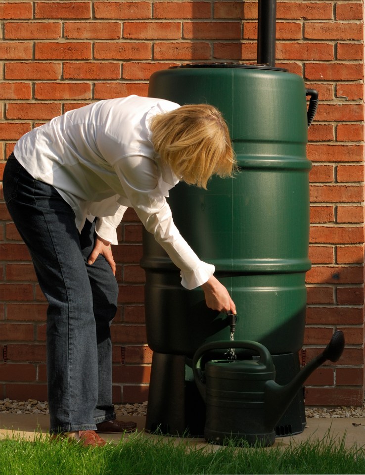 Woman filling a watering can from a rain barrel.