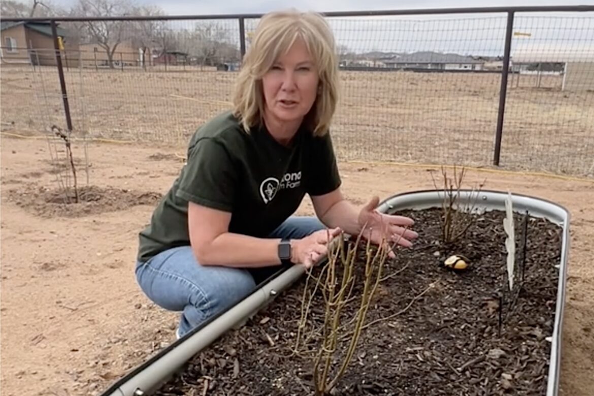 Expert gardener shares easy hack for more growth and fewer pests: ‘Great advice’ "It worked."