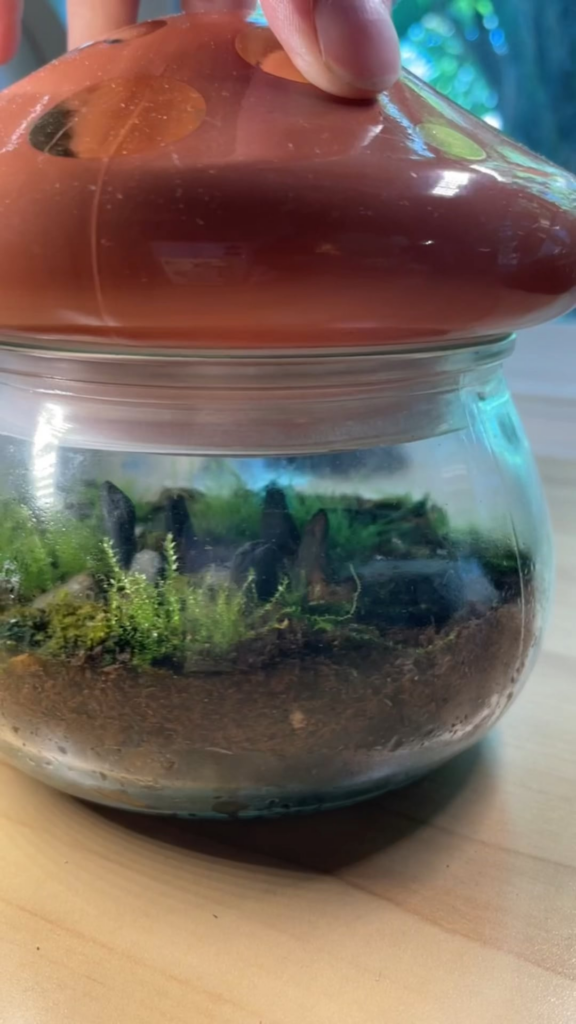 My most recent project :)