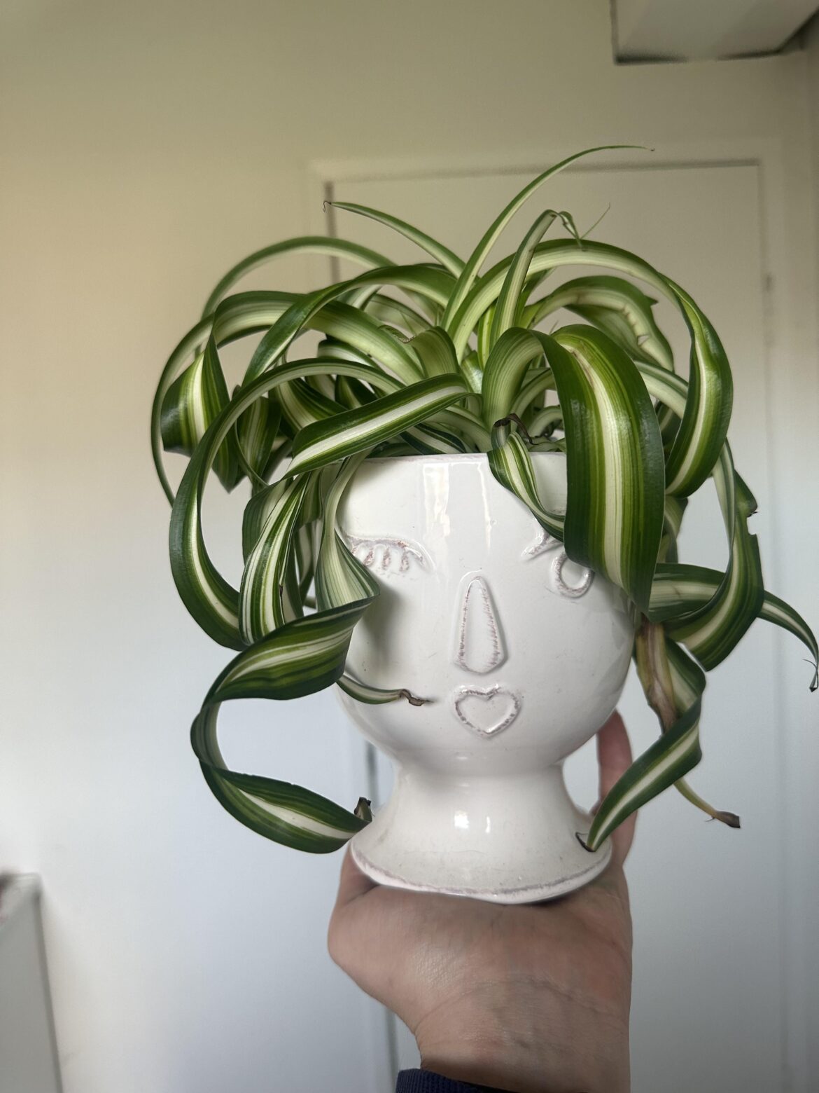 i need her hairstylists number 🤣