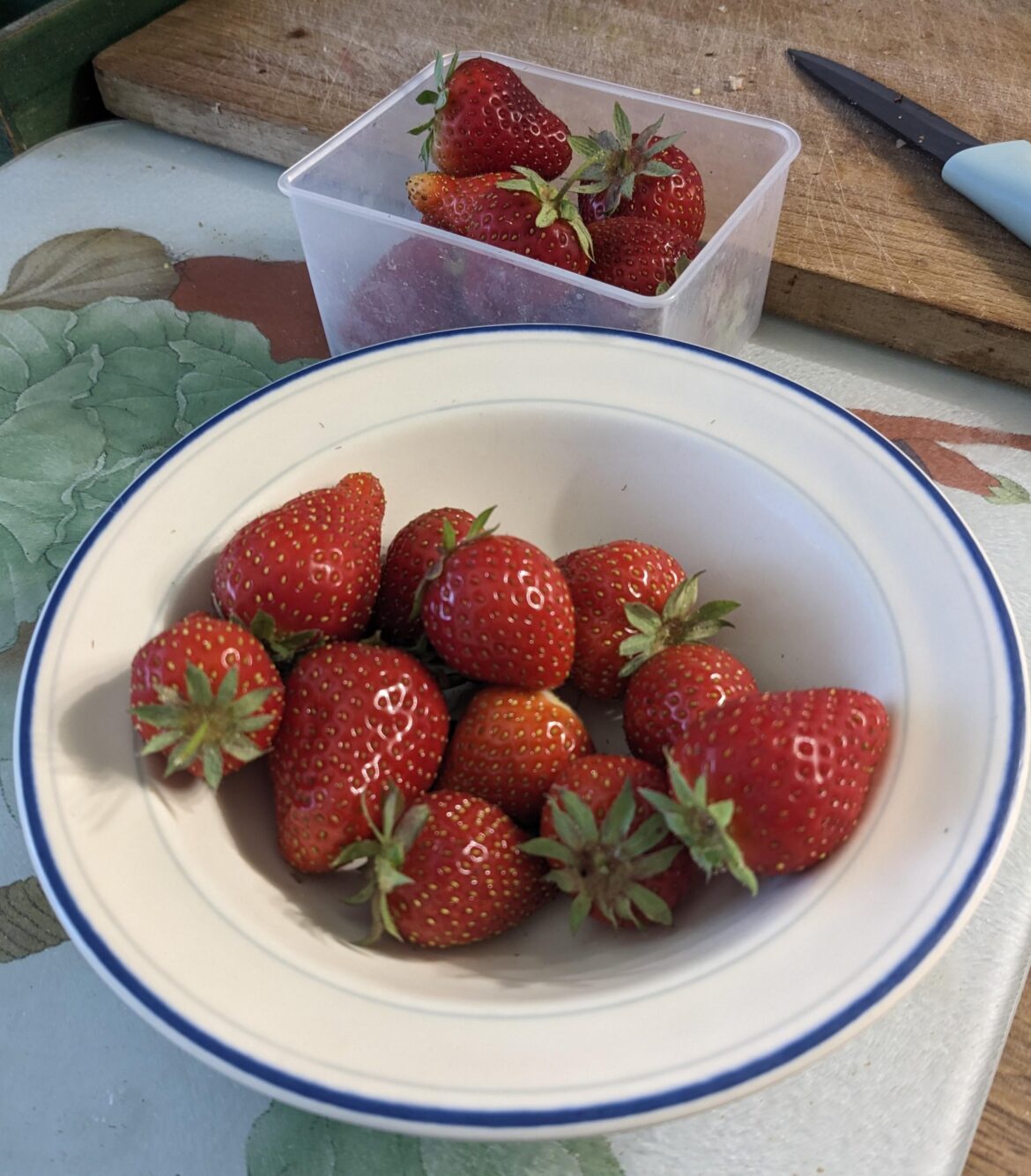 Anyone for strawberries? I'll be picking another bowl's worth tomorrow!