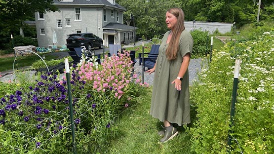 brown dog blooms molly mauzy