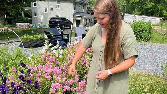 Staunton flower farmer discovers magic in gardening during COVID Staunton flower farmer discovers magic in gardening during COVID