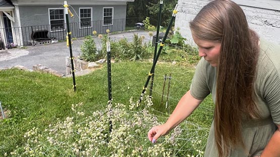 brown dog blooms molly mauzy3