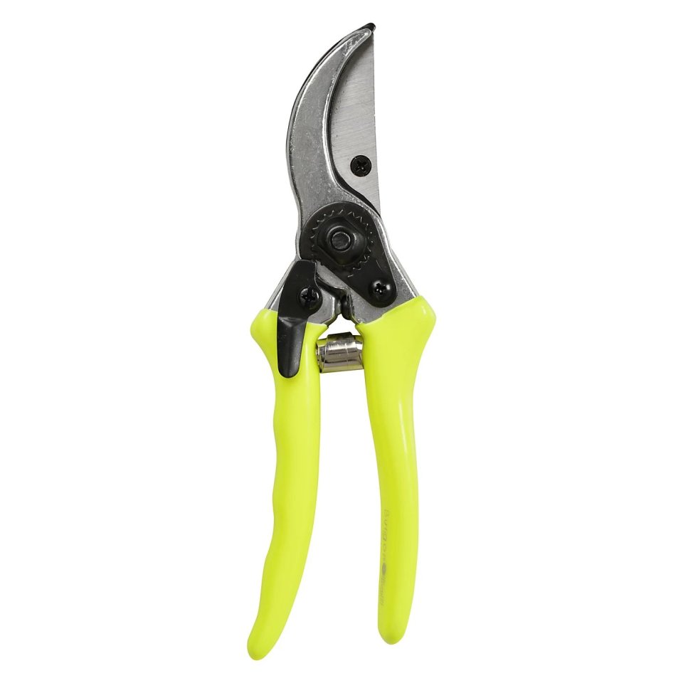 Yellow bypass secateurs.