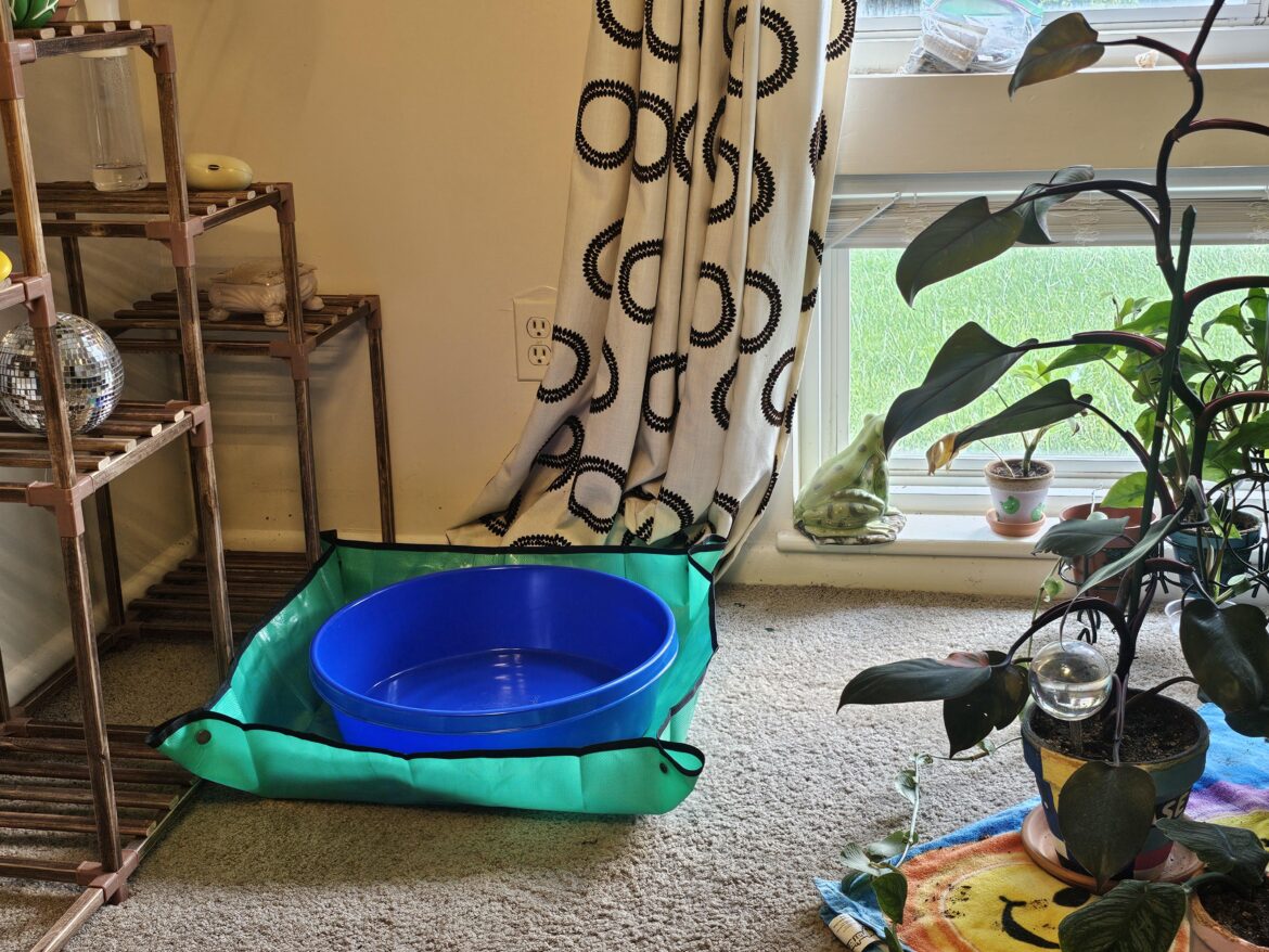 it was a great idea it was a great idea