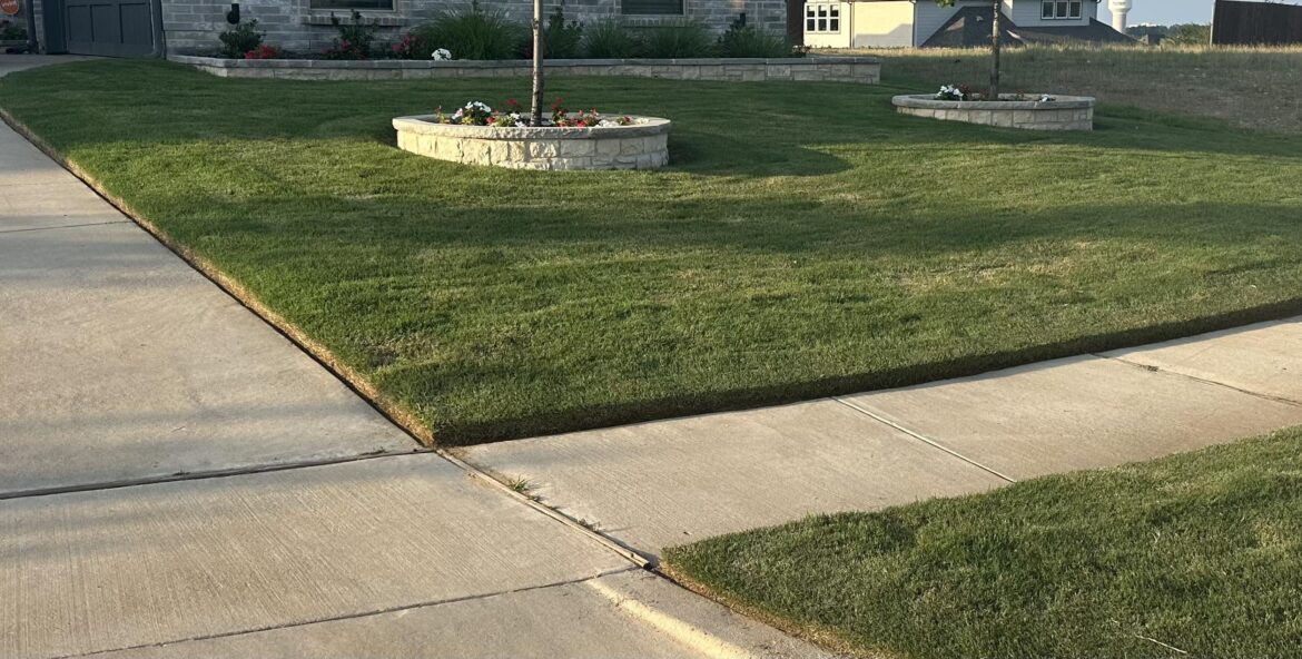 How do you get that tall, thick, dense lawn? How do you get that tall, thick, dense lawn?