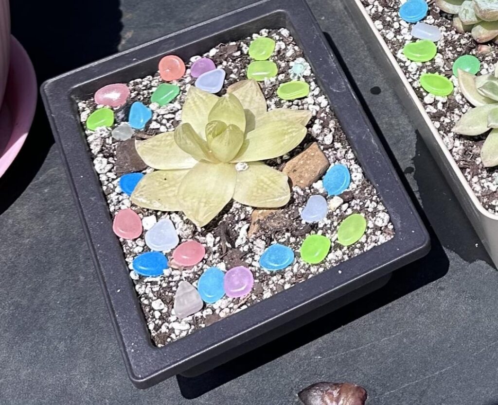 Does she look fine? Does she look fine?