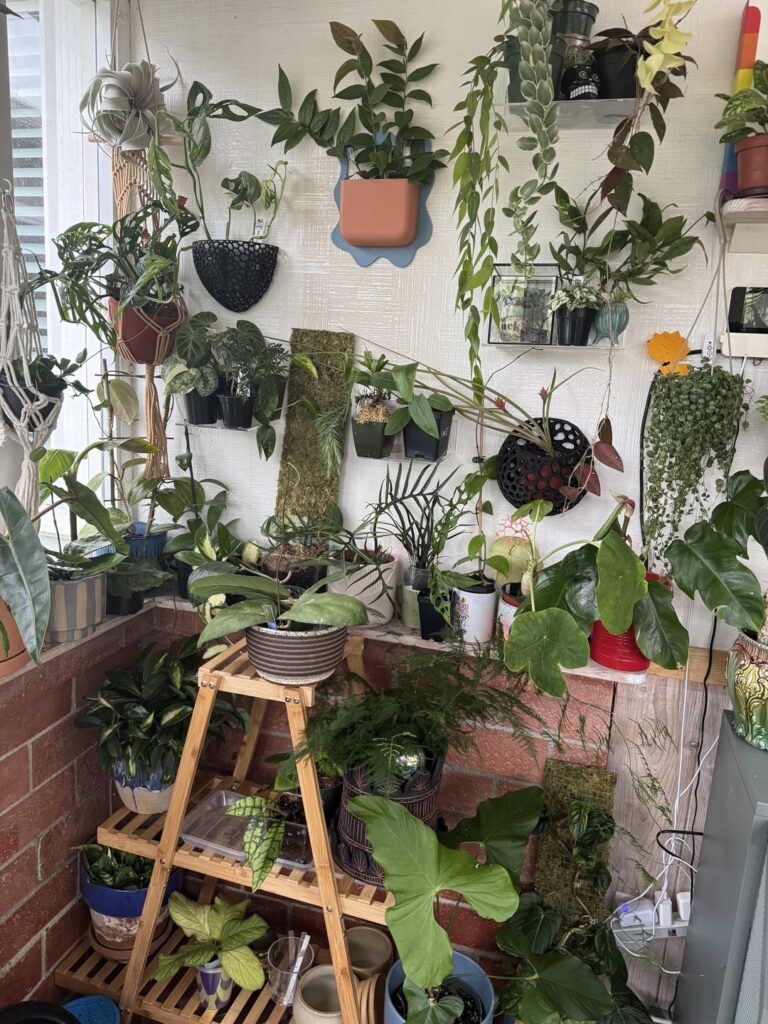 Some of my collection