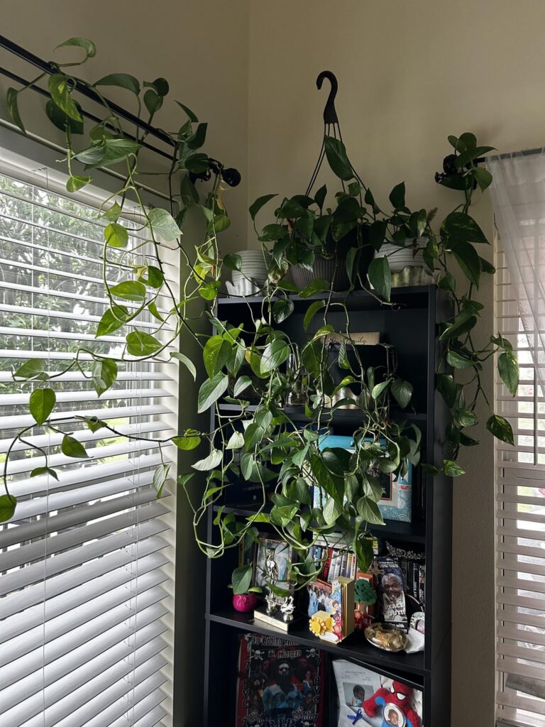 Need Advice
