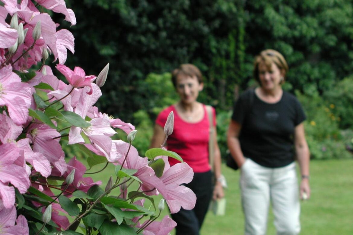 Cumbrian village to host open gardens event fundraiser News and Star