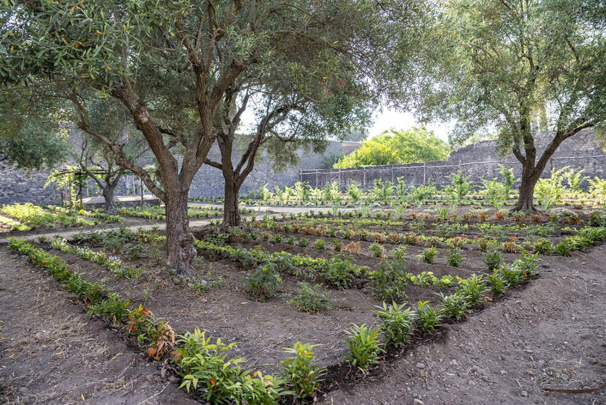 Hercules Garden House