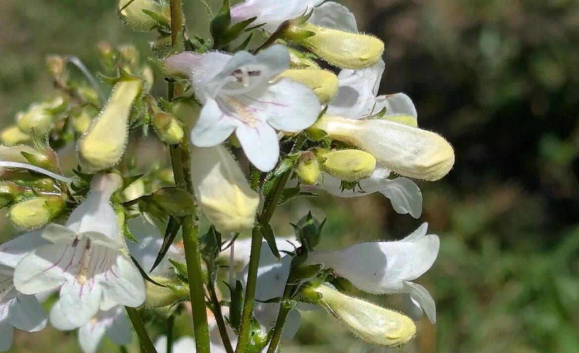 "That's my favorite."