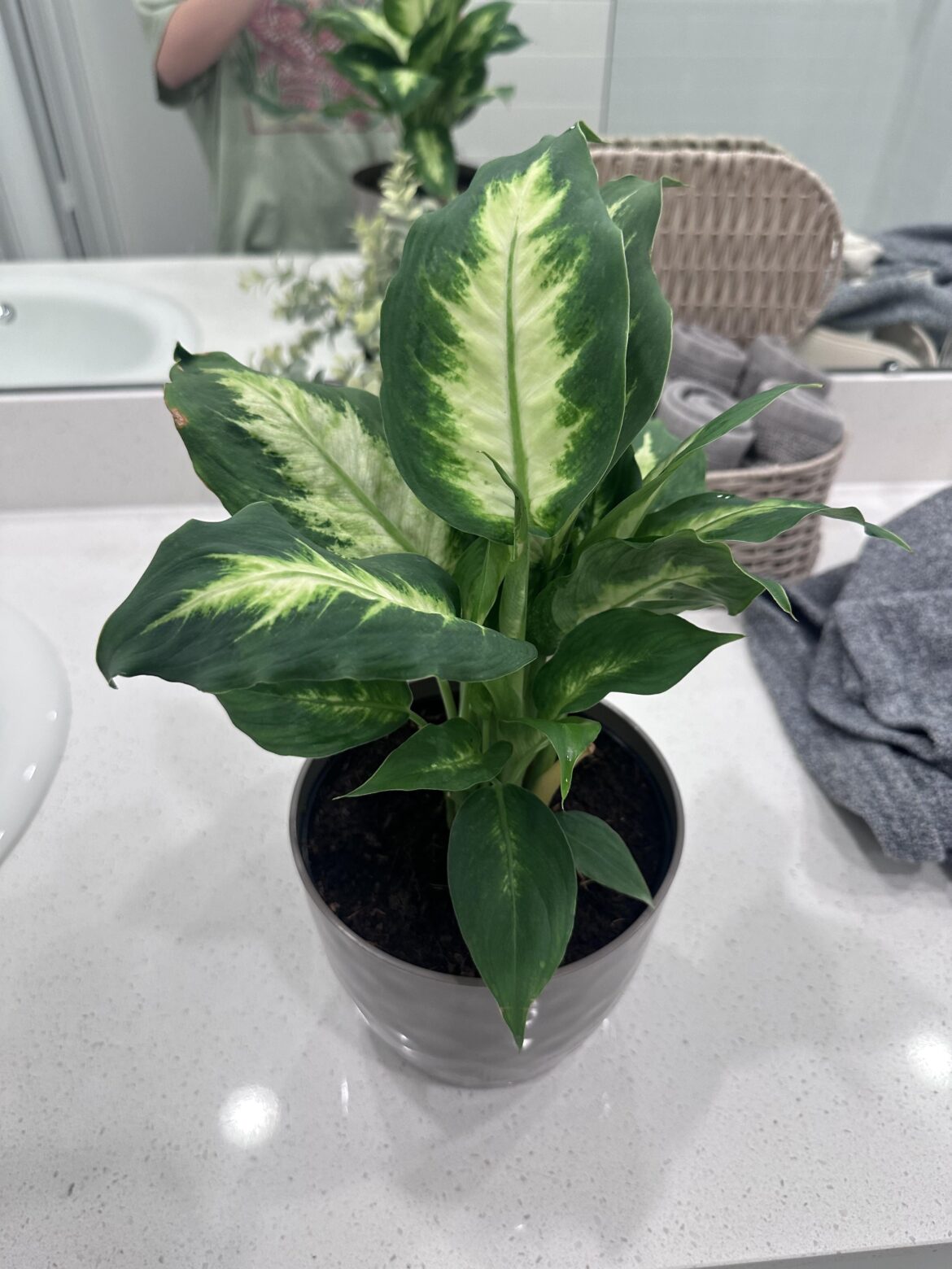 what is this?