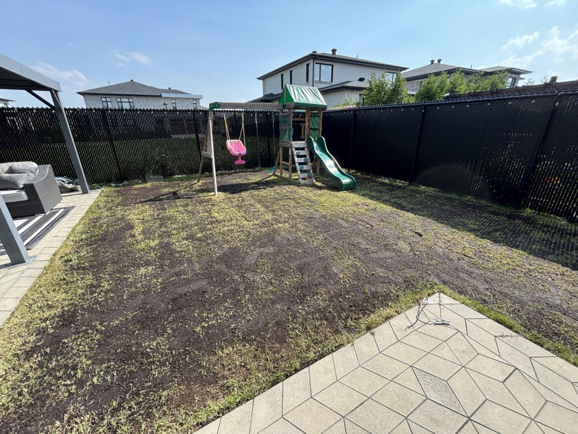 Did I put too much topsoil for overseeding?