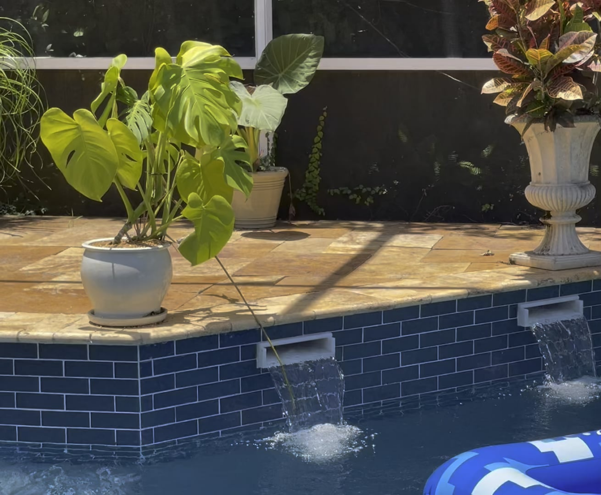 Monstera drinking from my pool again