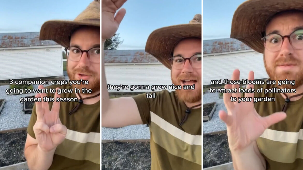 Gardener reveals simple tips for winning battle against pests: ‘Good to know’ You don't need a green thumb for this to work.