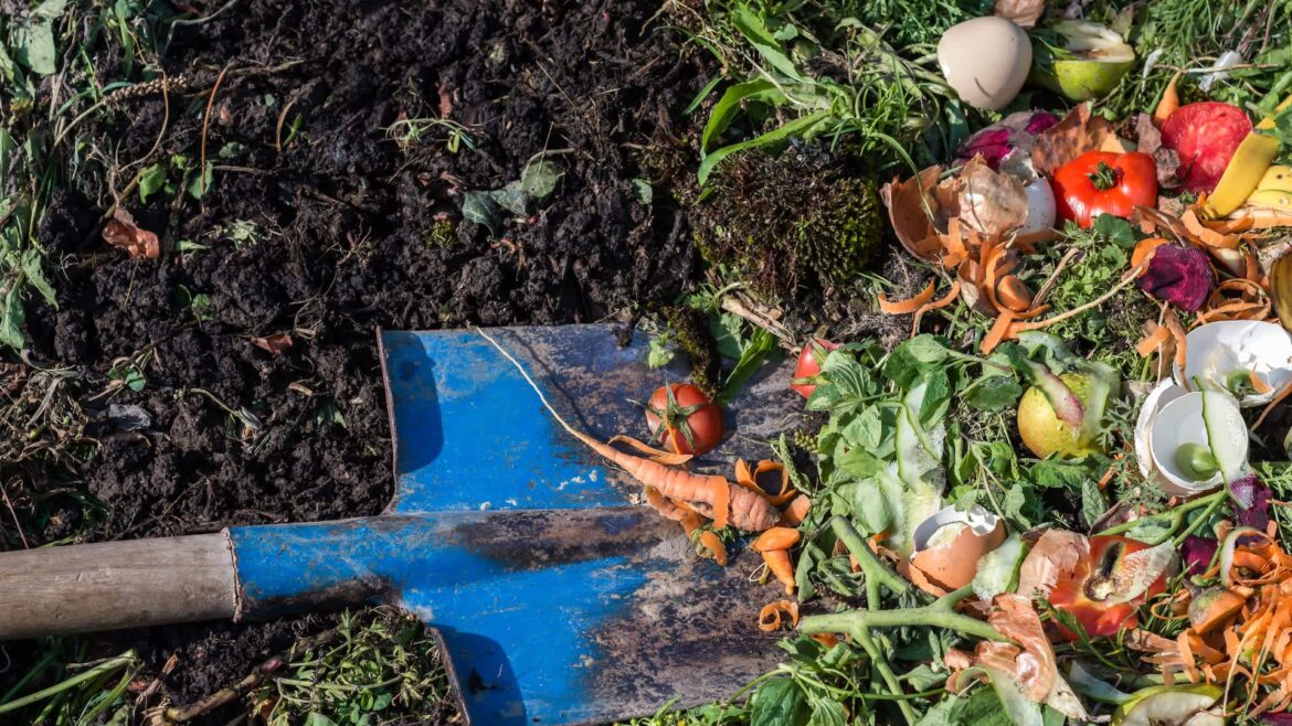 Homeowner shocked by HOA’s unreasonable ban on harmless gardening tactic: ‘Not an option’ Homeowner shocked by HOA's unreasonable ban on harmless gardening tactic: 'Not an option'