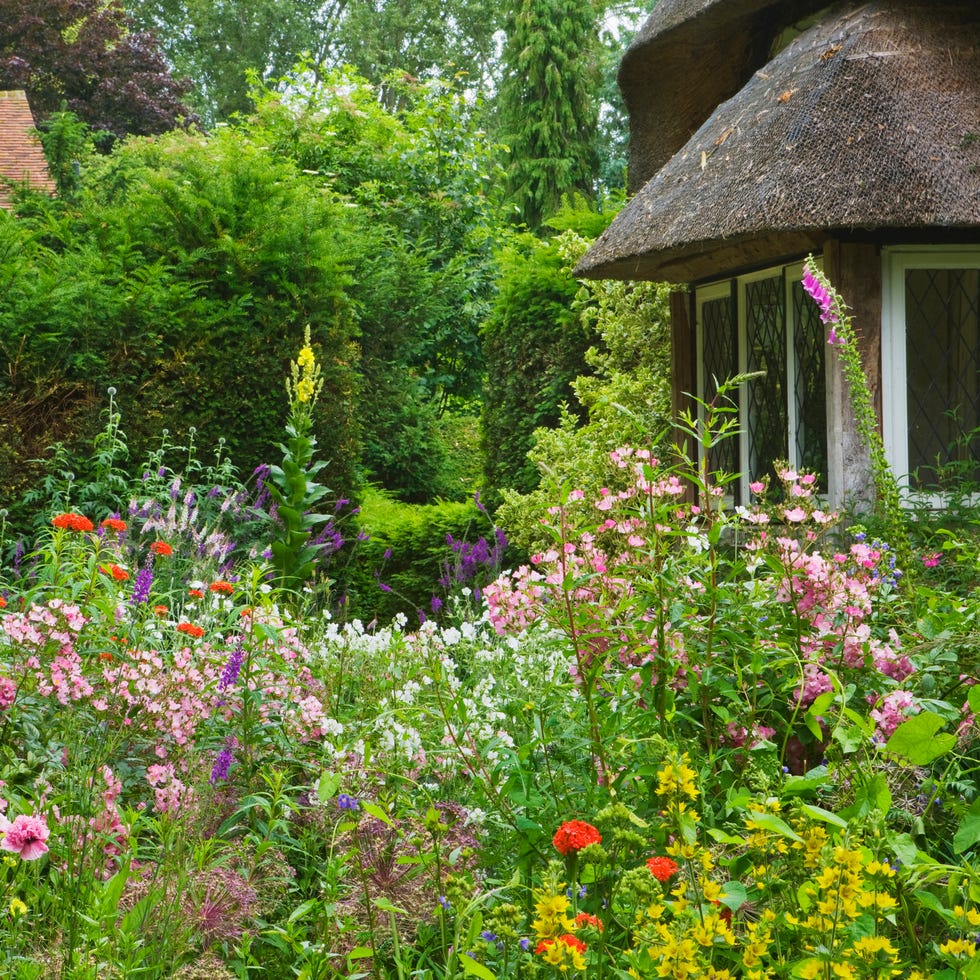 thatch cottage garden in uk