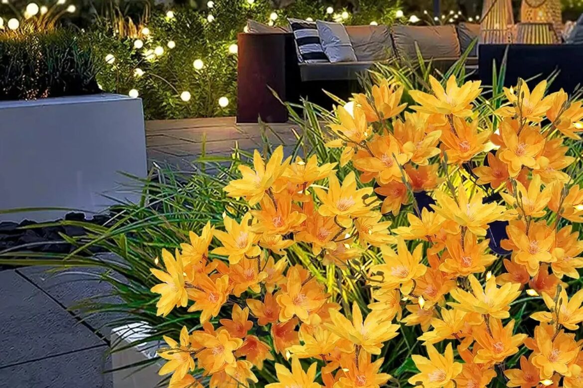 Amazon’s solar lights ‘look like real flowers’ & instantly transform your garden – they ‘look beautiful day & night’ Amazon’s solar lights ‘look like real flowers’ & instantly transform your garden - they ‘look beautiful day & night’