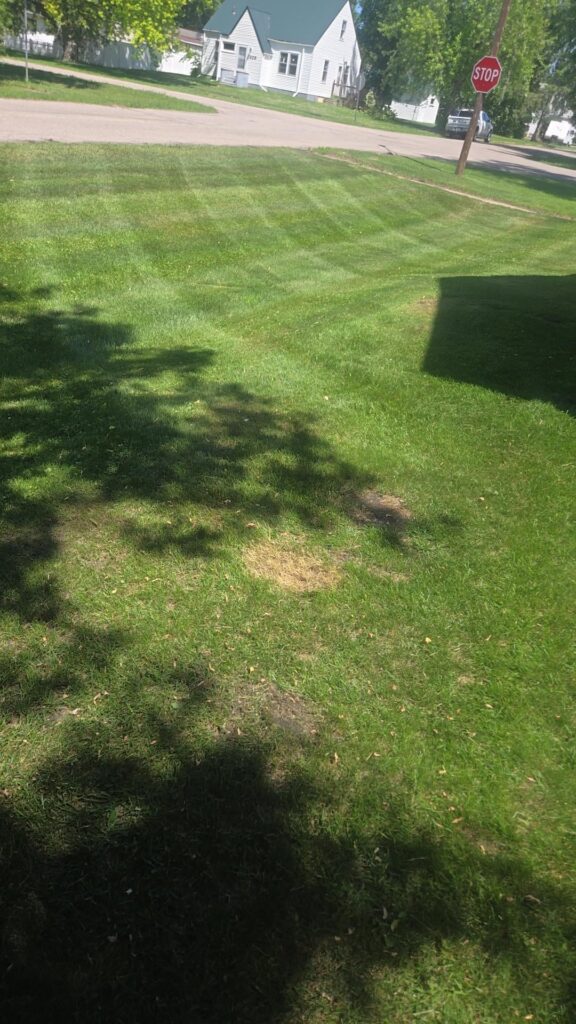 How do I prevent my mower from scalping the slope in my yard we'll still keep in my pattern