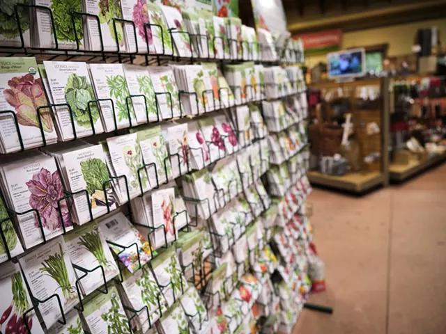 Seeds for sale at Gardener's Supply - BEAR CIERI