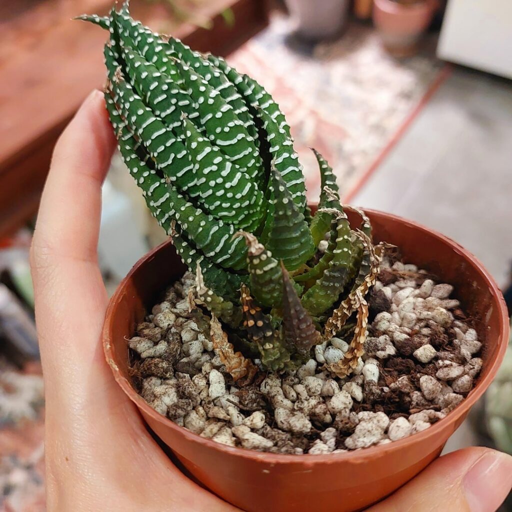 Need help, was I too late?