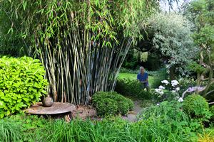 The garden at Windy Ridge in Little Wenlock