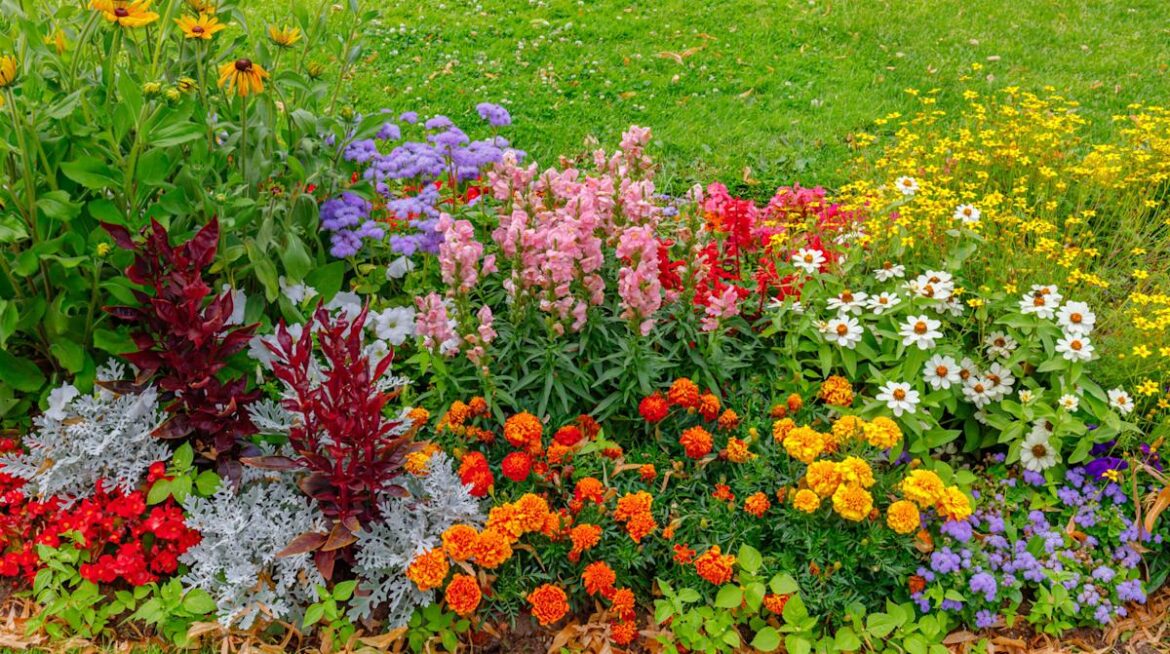 13 Stunning Perennial Plants To Brighten Your Summer Garden Yahoo lifestyle home