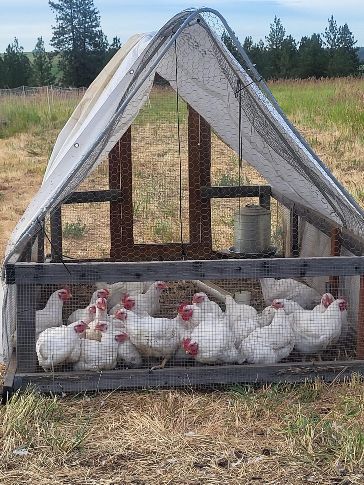 Its graduation day Its graduation day