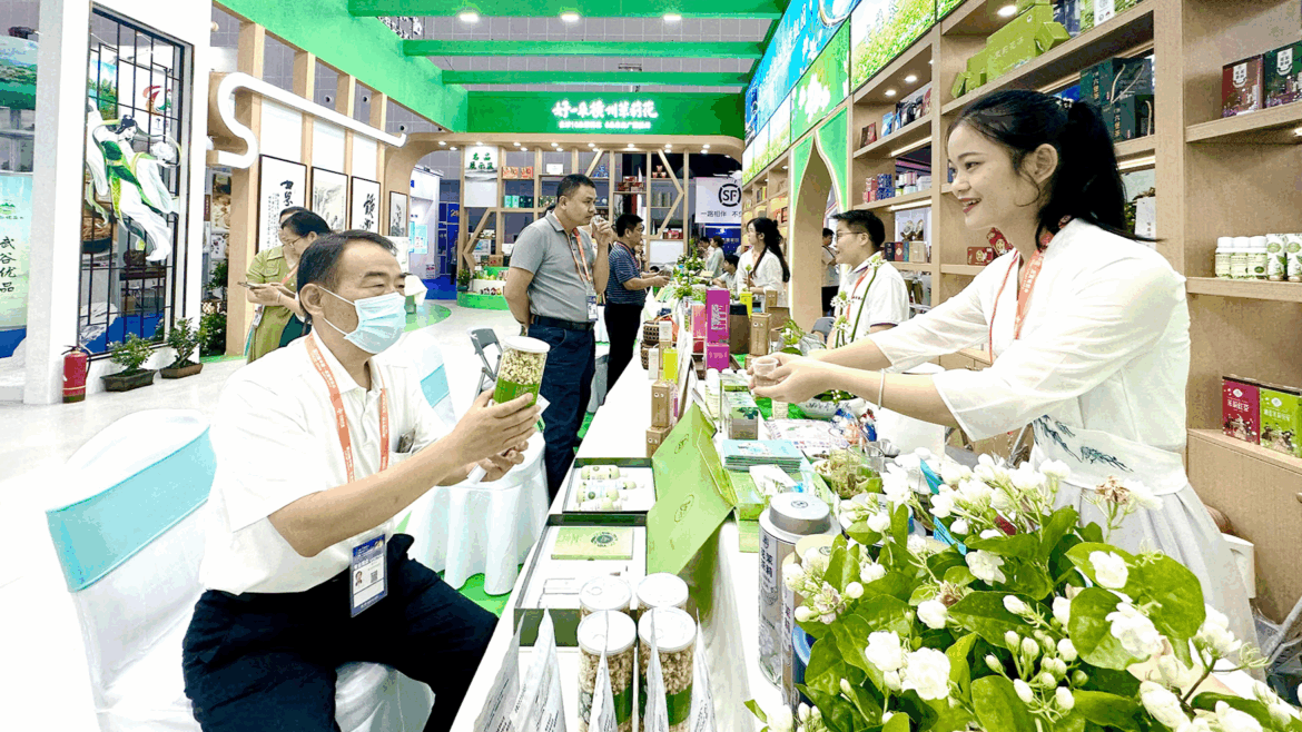 Hengzhou's jasmine flower industry now in full bloom